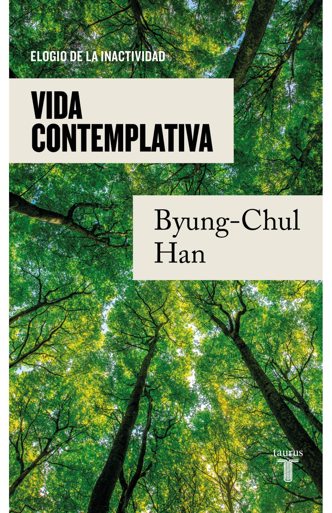 vida-contemplativa.jpg