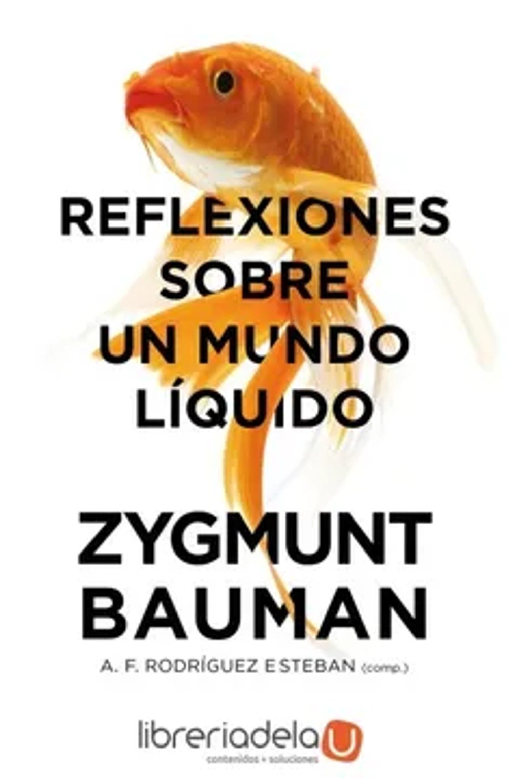 Reflexiones sobre un mundo líquido