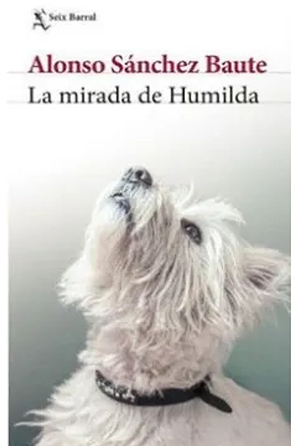 La mirada de Humilda
