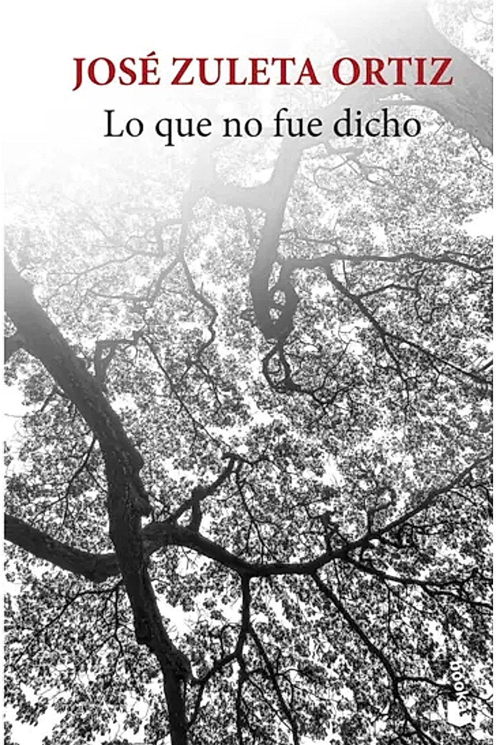 Lo que no fue dicho Booket