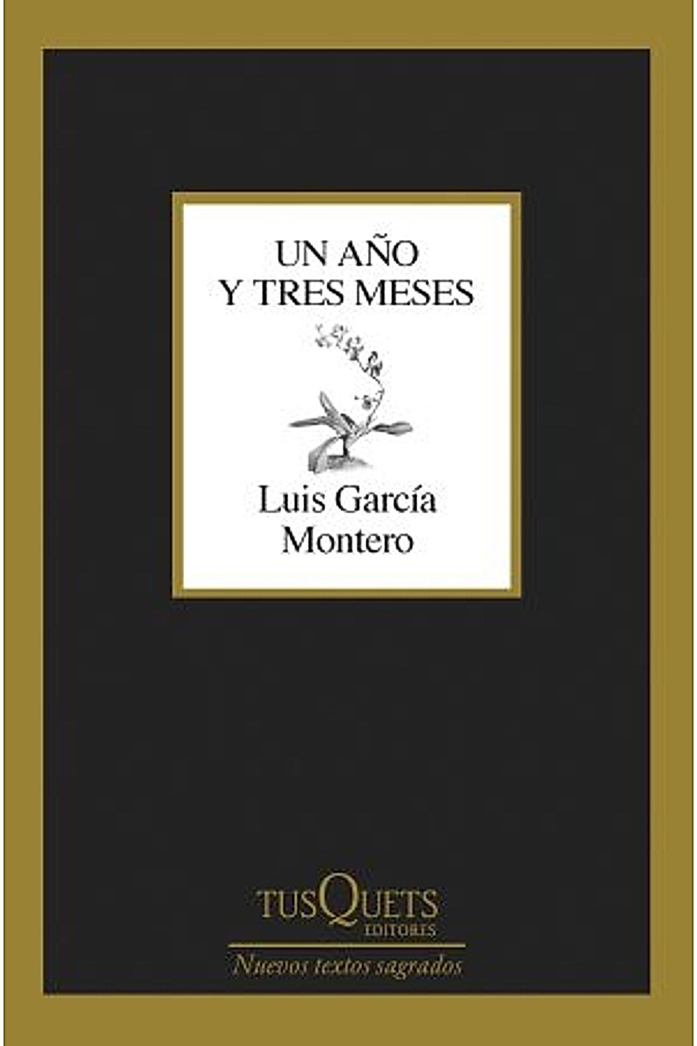 Un Año y Tres Meses